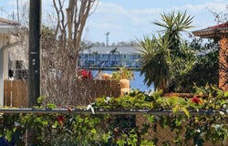 LING-A-MOR TERRACE S, ST PETERSBURG, FL 33705