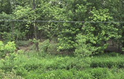 Old Boonville Highway, Chandler, IN 47610