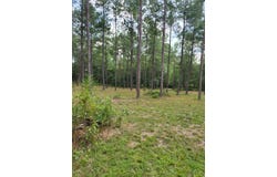 373312 CR 3160, Colmesneil, TX 75938