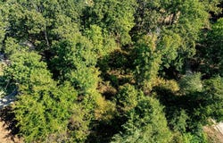 Tbd 168 Deer Valley Drive, Powderly, TX 75473
