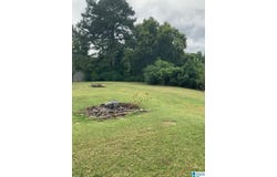 185 LOUIS STREET, ODENVILLE, AL 35120