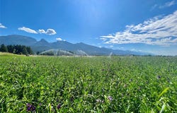 NHN Haystack Mountain Lane, Polson, MT 59860