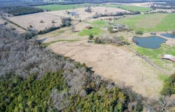 Tbd 5b County Road 2376, Winnsboro, TX 75494