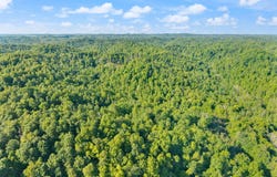 2881 KY 755, Sandy Hook, KY 41171