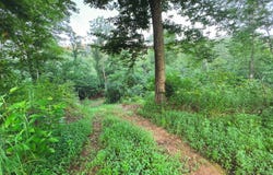 0 Spicy Run Road, Piketon, OH 45661