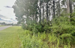 Tbd Brinkley Street, Navarre, FL 32566
