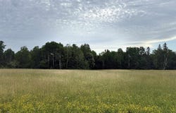 0000 Range Line Rd, Iron River, WI 54847