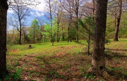 14240 True Love Rd, West Fork, AR 72774