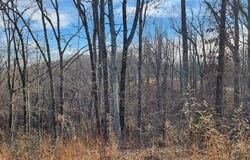 ID049 Marina Ridge Rd, HOLLADAY, TN 38341