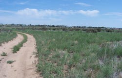Hillcrest, Edgewood, NM 87015