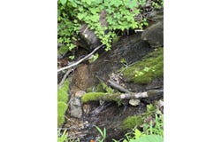 00 Heavens View (118 Acres) Lane, Gate City, VA 24251