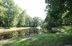 85 E 1125, Mulberry Grove, IL 62262