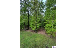 68 Lonnie Lawson Court, Brandenburg, KY 40108