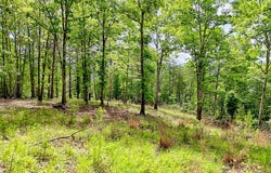 Off Mason Road, Brasstown, NC 26805