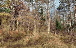Airport Road, Crivitz, WI 54114
