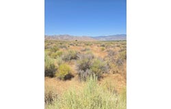 426-390-24 Flycatcher, Weldon, CA 93283