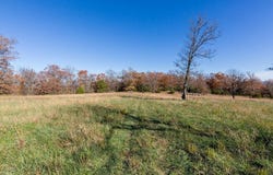 TBD Madison 6001, Elkins, AR 72727