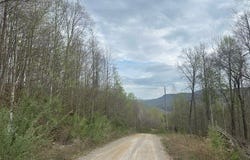 Buckeye Lane lot: 84, Wilder, TN 38589