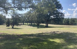 Hwy 13, Mendenhall, MS 39114