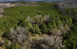 3002 US-231, Vincent, AL 35178