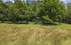 Golf Hill Road, Honesdale, PA 18431