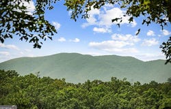 364 Bice LN, Blue Ridge, GA 30513