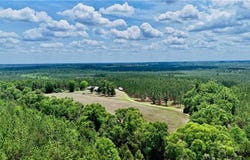 Neily Wagon Road, GA 31037
