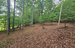 Tbd Mallard Ln, Fries, VA 24330