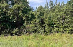 17000 Block Hwy 41, Brewton, AL 36426