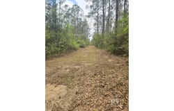 Tom Shivers Road, Flomaton, AL 36441