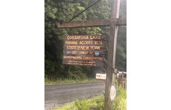 1374 Tall Pines Way, Argyle, NY 12809