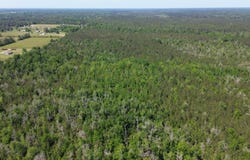 0 Turnpike Rd, Folsom, LA 70446