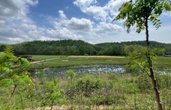 225 Estel Asbury Rd, Columbia, KY 42728