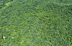0 S Buffalo Rd, Oneida, TN 37841
