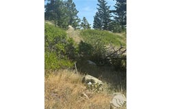 54 Eagle Ridge, Nye, MT 59061