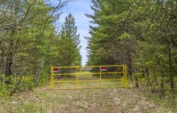 Maple Avenue, Brethren, MI 49619