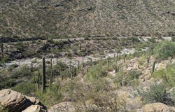 11665 E Balboa Place, Tucson, AZ 85749