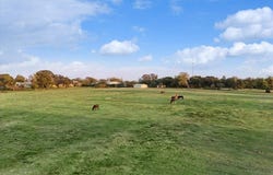 11410 Massey Road, Pilot Point, TX 76258