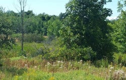 Rt-37, Evans Mills, NY 13637