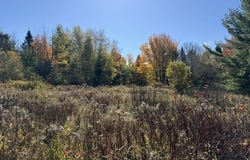 1556 Springfield Road, Danforth, ME 04424