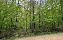 Lots 5-10 Mid Iron, Garrison, MN 56450