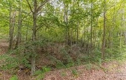 4033 Hidden Hollow Drive, Gainesville, GA 30506