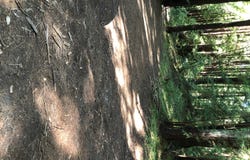 00 Slate Creek Road, La Honda, CA 94020