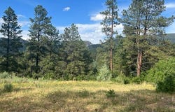 Log Ridge Trail, Chama, NM 87520