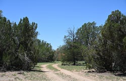 35800 W SILENT SHADOWS Trail, Seligman, AZ 86337