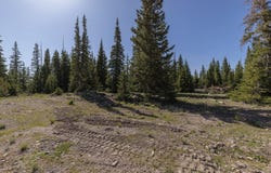 318 N Highland DR, Brian Head, UT 84719