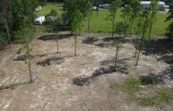 21154, livingston, LA 70754
