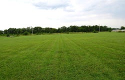8861 Farm Road 2212, Washburn, MO 65772