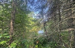 8488 Hwy 73, Angora, MN 55703