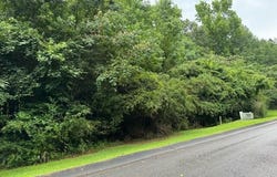 LOT 2 STONE HILL DR St, Winfield, AL 35594